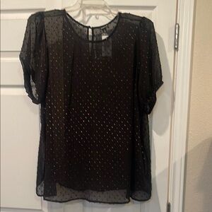 Torrid, Elegant Black Sheer Top